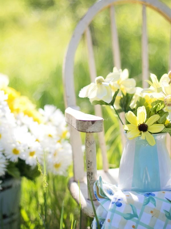 pexels-jill-wellington-1638660-35847 pexels-jill-wellington-1638660-35847